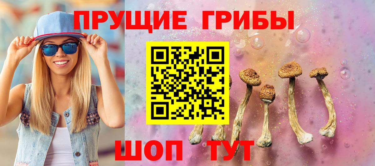 Псилоцибиновые грибы GOLDEN TEACHER Павлово
