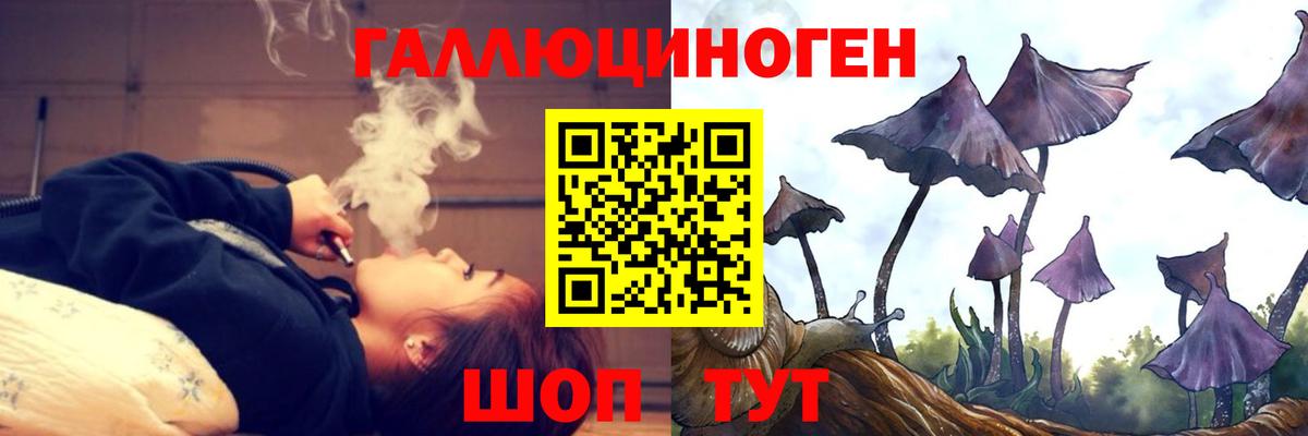 Псилоцибиновые грибы GOLDEN TEACHER  Вход с VPN  Павлово 